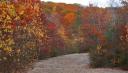 https://www.gregburt.com/blogimages/2006/10/DSCN1493-cropped-thumb.jpg